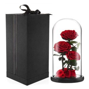 WhatsApp Image 2025-10-14 at 5.34.45 PM (1) Eternal Trio of Passion