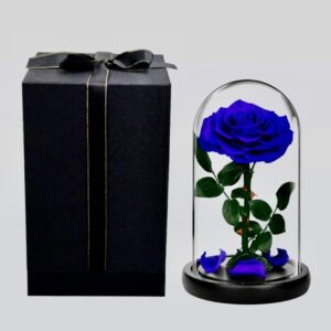 WhatsApp Image 2025-10-14 at 5.34.46 PM (1) The Royal Beauty Rose