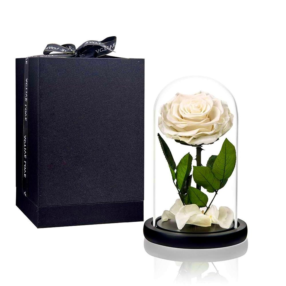 Timeless Beauty Rose