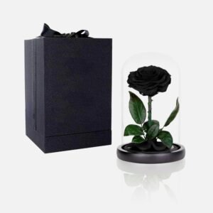 WhatsApp Image 2025-10-14 at 5.34.47 PM (1) The Ethereal Beauty Rose