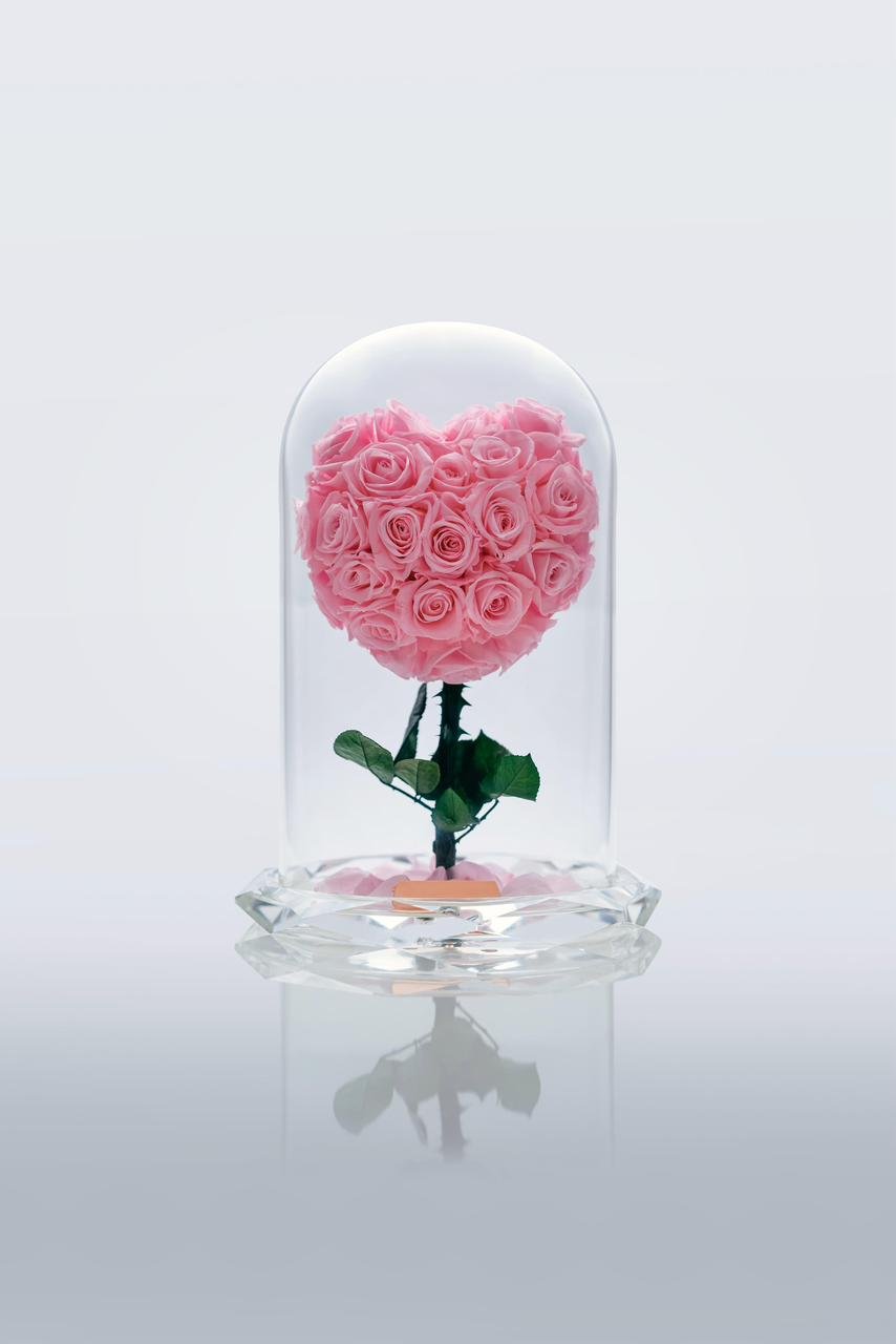 Crystal Heart of Tenderness