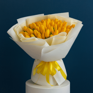 IMG_8695 Sunshine Tulip Cloud