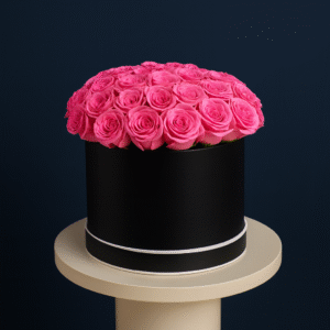 IMG_8776 Rose Velvet Box – Medium