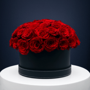 IMG_8779 Crimson Grande Box – Large