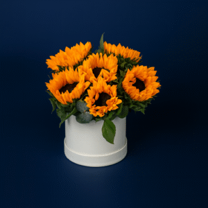 IMG_8788 Sun Flower Box